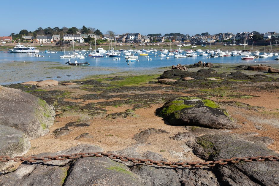 La rue du commerce à Perros Guirec : un incontournable de la ville ?